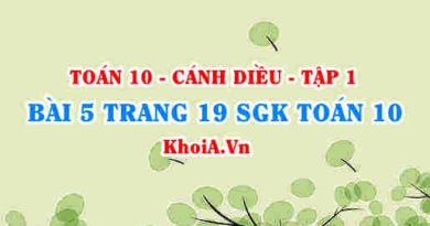 Bài 5 trang 19 SGK Toán 10 tập 1 Cánh Diều